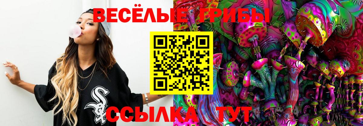 Псилоцибиновые грибы Cubensis  Вход с VPN  Солнечногорск 