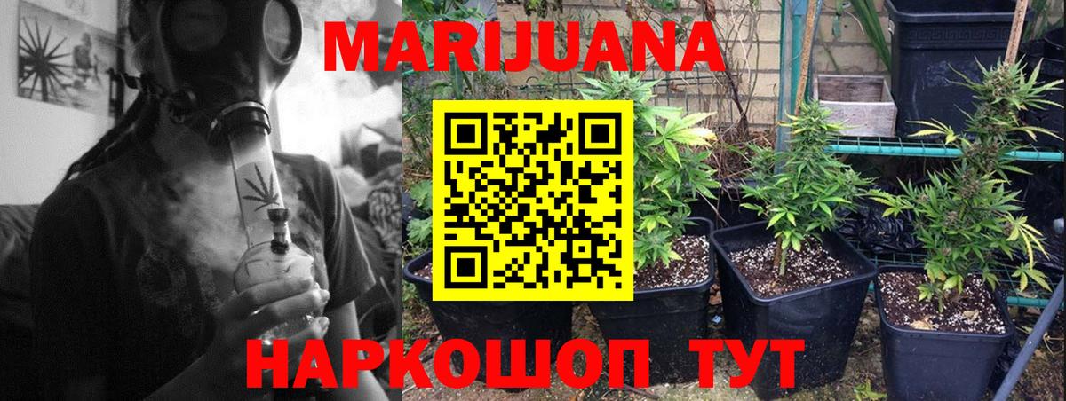 Конопля семена  МАРИХУАНА планчик  Шишки марихуана Ganja  Солнечногорск  Вход с VPN 